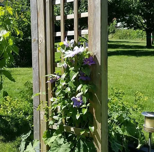 Haus Salzmann Daire *